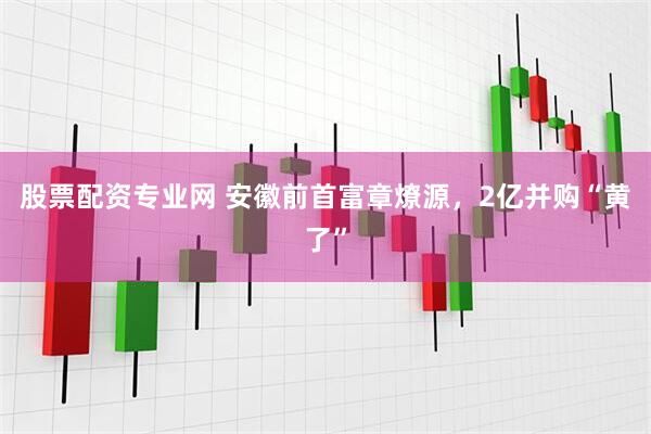 股票配资专业网 安徽前首富章燎源，2亿并购“黄了”