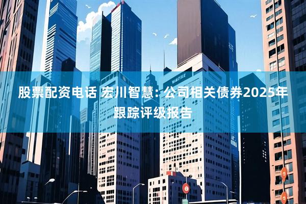 股票配资电话 宏川智慧: 公司相关债券2025年跟踪评级报告