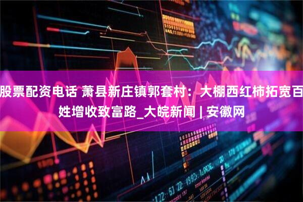 股票配资电话 萧县新庄镇郭套村：大棚西红柿拓宽百姓增收致富路_大皖新闻 | 安徽网