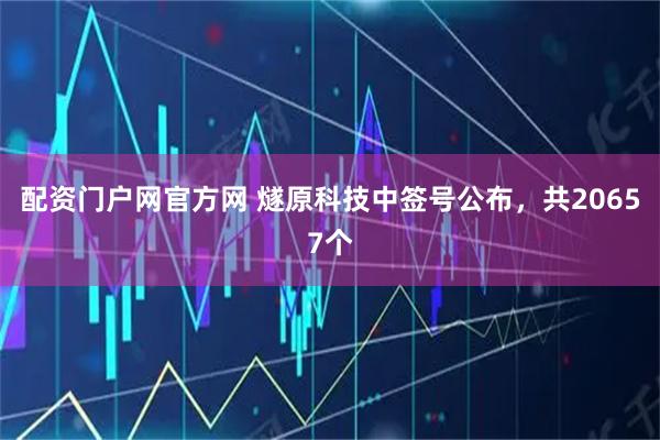 配资门户网官方网 燧原科技中签号公布，共20657个